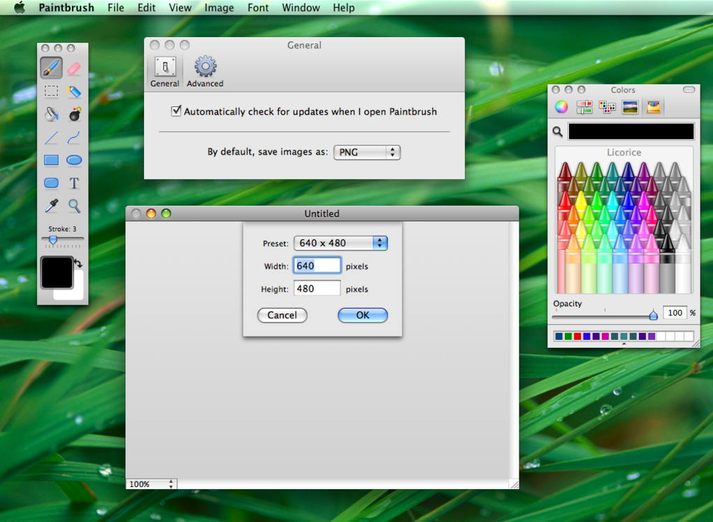Download For Paint On Mac
